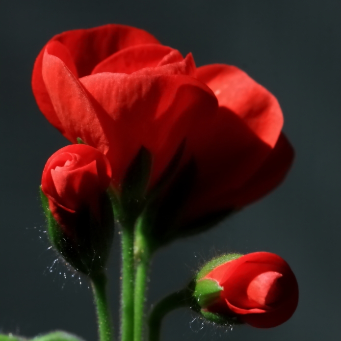 2012 03 06 7819e